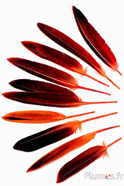 Gans - 12-18 cm - oranje-koffie